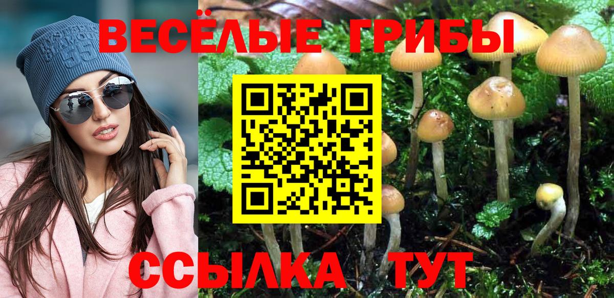 Галлюциногенные грибы GOLDEN TEACHER  дарнет шоп  Псилоцибиновые грибы Cubensis  Краснодар  Вход с VPN 